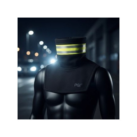 Navleky_PGI global
